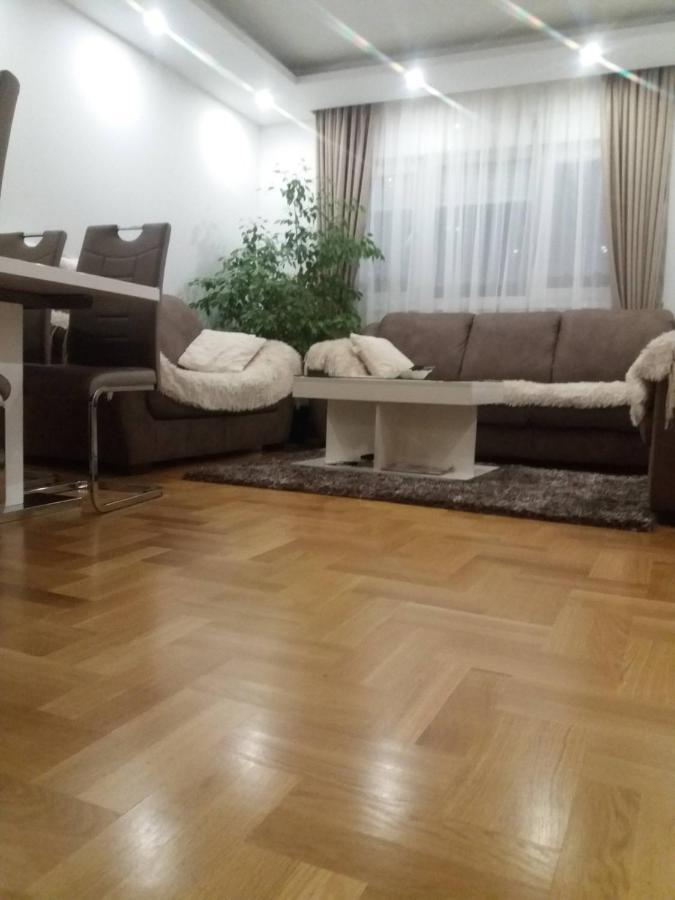 Apartment Kovinic *